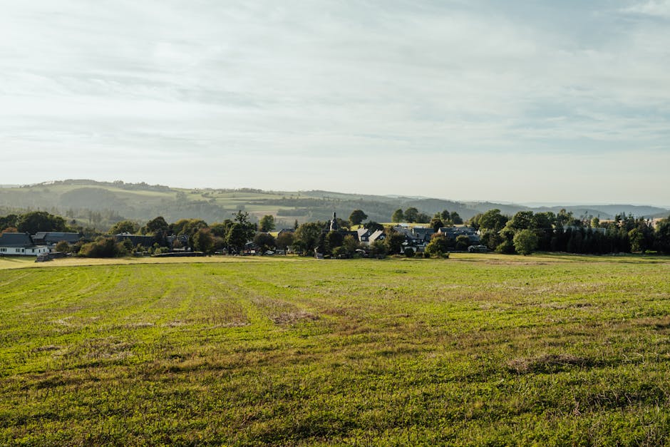 Panoramablick über den Gemeinschaftsgarten während eines Praxistages